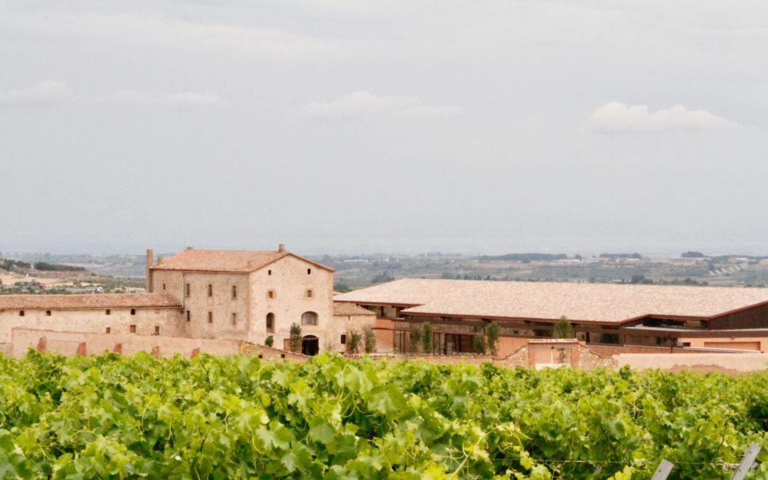 Torres, second group of Costers del Segre, presents the Purgatori winery