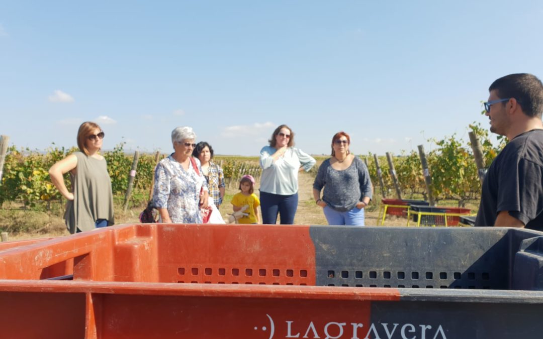Vendimias 2018 del vino solidario Gra de Sorra