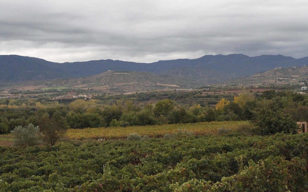 A la descoberta dels 7 Vins, 7 Paisatges de Lleida…
