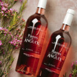 Cellers Pagos de Anguix presenta El Rosado 2023, la tercera anyada d’un vi en alçada amb una frescor extraordinària