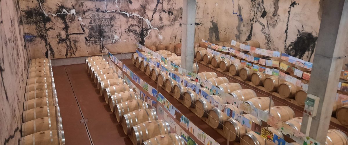 20231127_124251 20231127_124251