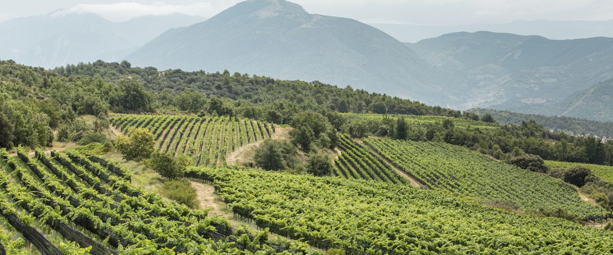 210526VinyaEco©BlueCollectors7