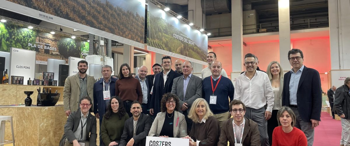 260202_DOCS_BWW_Grup