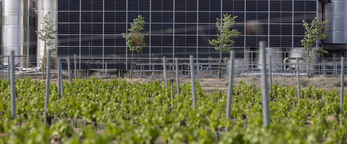 976e140b-c4d3-bdd3-88af-8ccf7e4ccd62