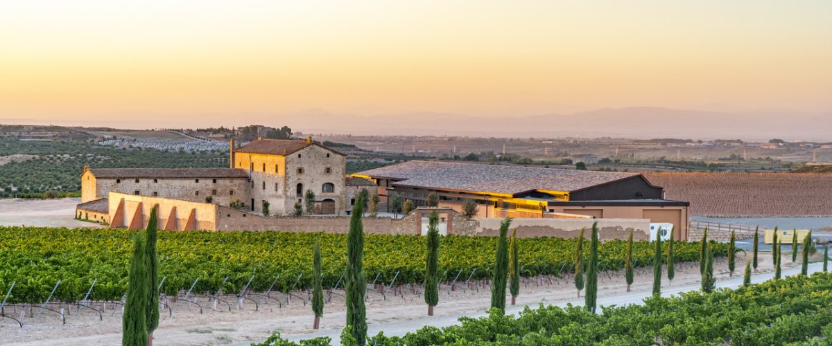 FAMILIA-TORRES_Bodega Purgatori_copyright_SaraMatthews_photography