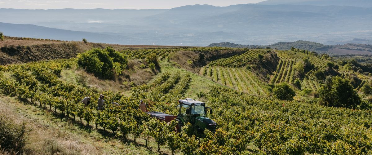FAMÍLIA_TORRES-Verema2025_PireneTremp_4