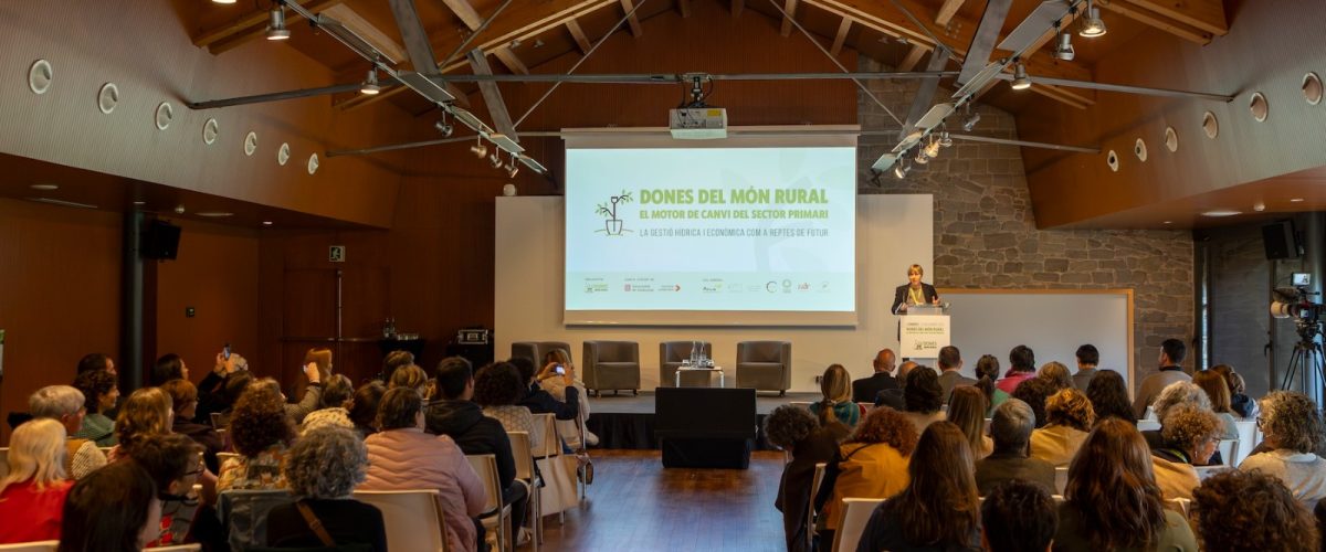 WhatsApp Image 2025-10-05 at 19.39.10